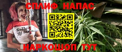PSILOCYBIN Гагарин