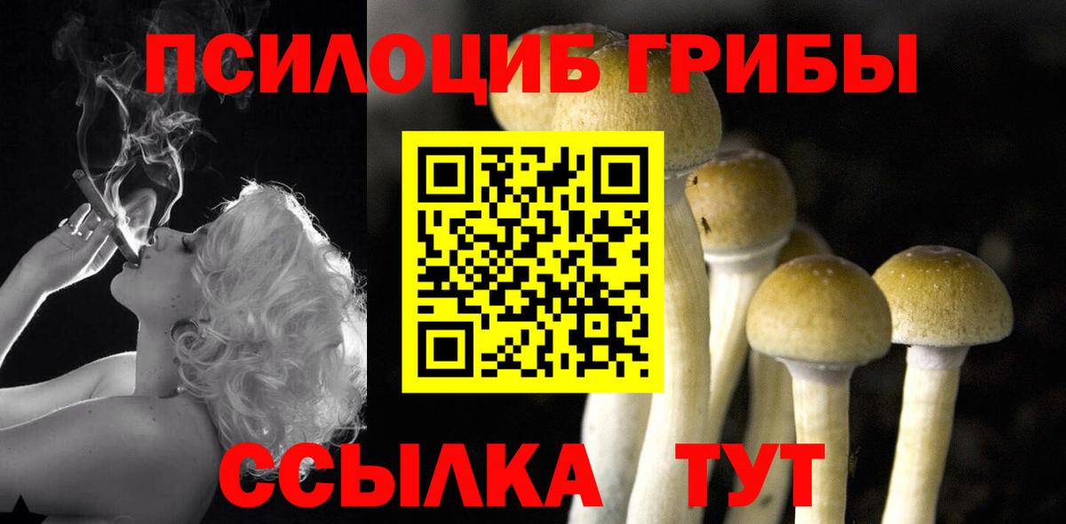 Псилоцибиновые грибы Magic Shrooms  Вход с VPN  Кувандык  Галлюциногенные грибы мицелий 