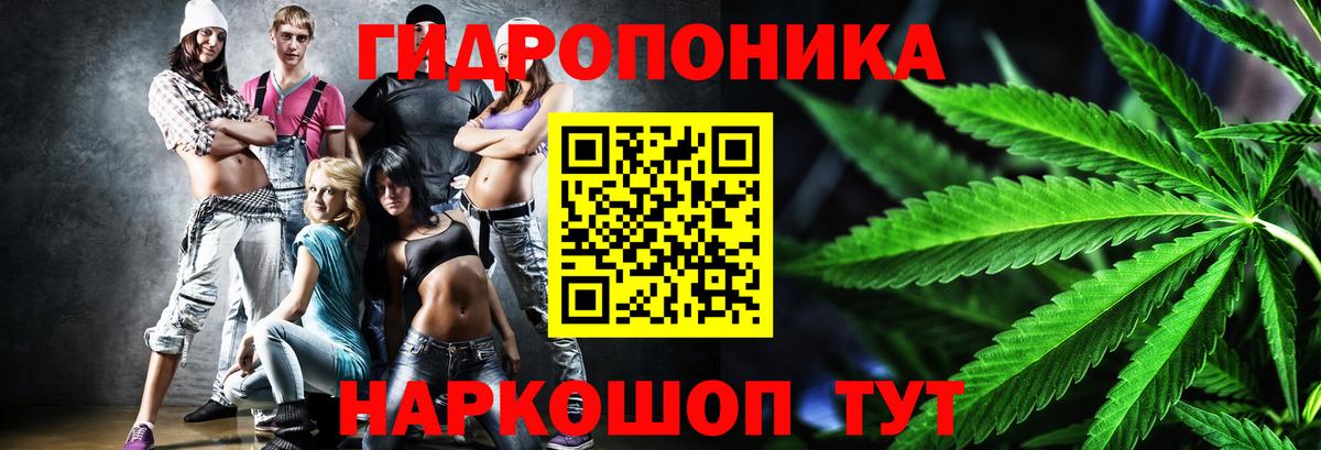 Бошки Шишки THC 21% Кувандык